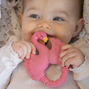 Anneau de Dentition - Flamant Rose